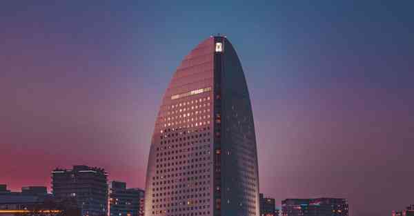 CHATGPT使用的预训练方式（CHATGPT定制预训练）