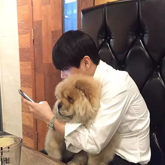 姬纪娅桦