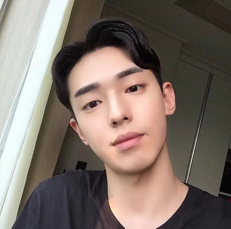 索博枫以