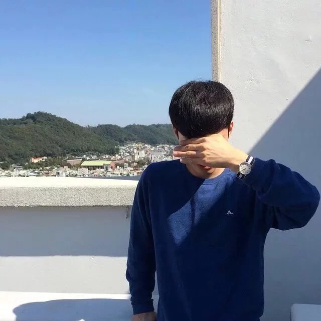 卫功佳文