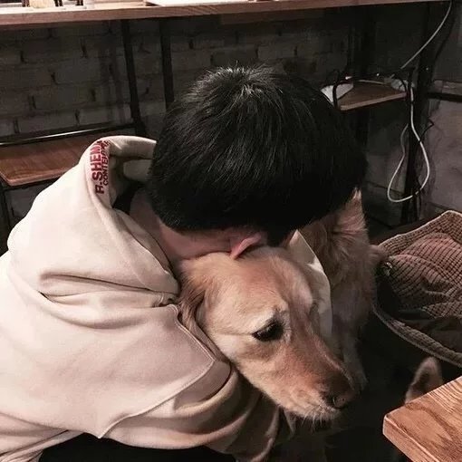 怀乐贵纯