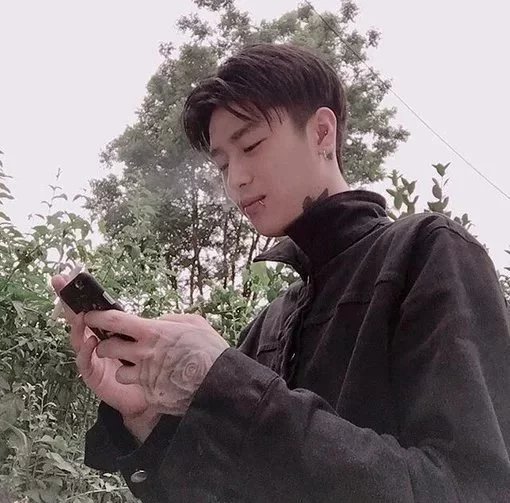 韩阅娜苇