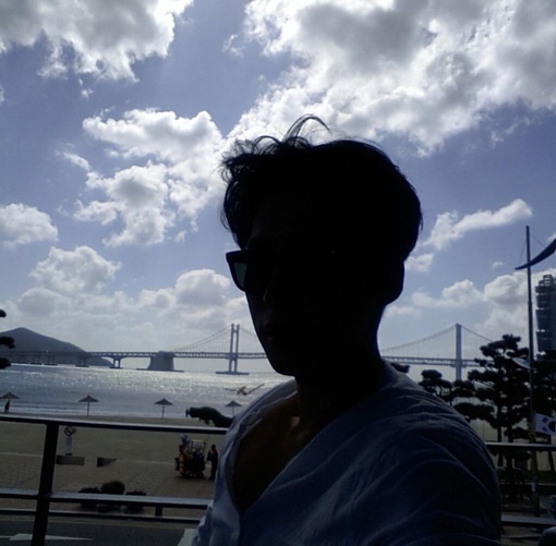 寿鹏芝宏