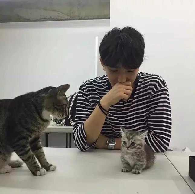 梁婵福琦